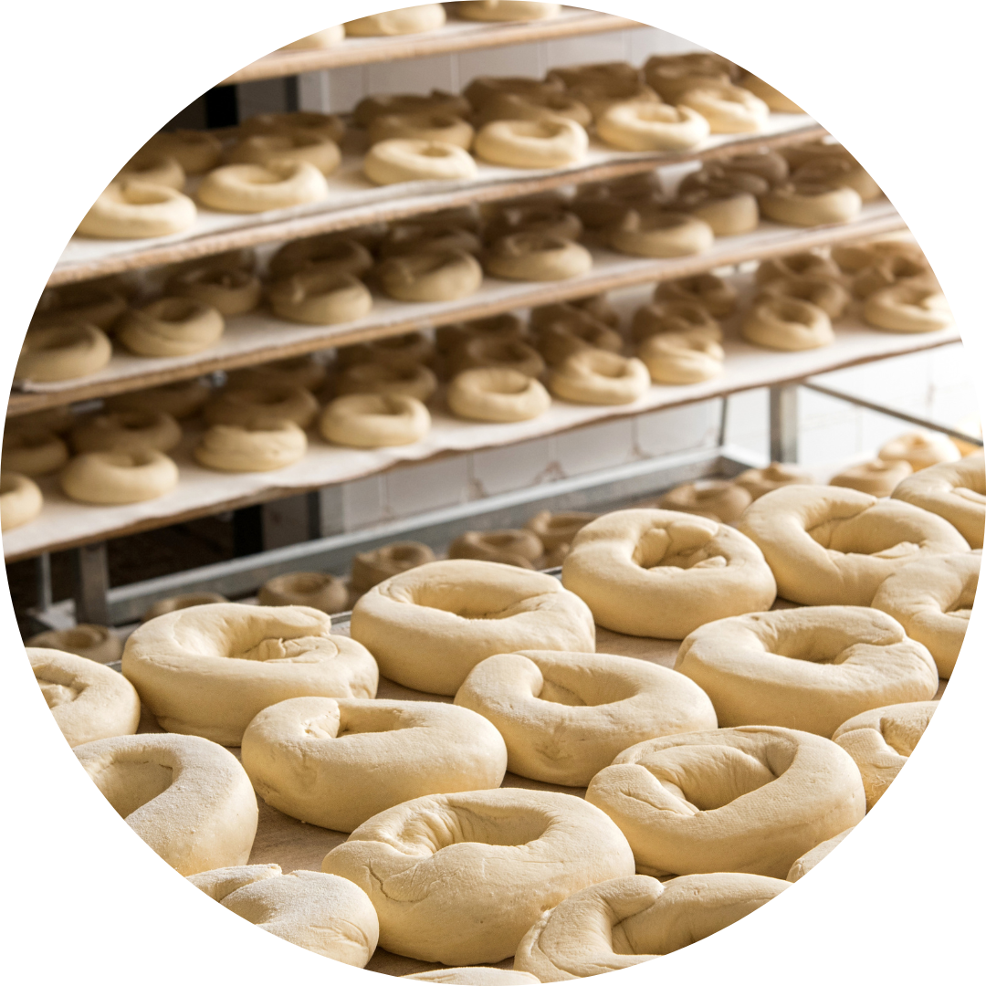 Trays of unbaked bagels in factory